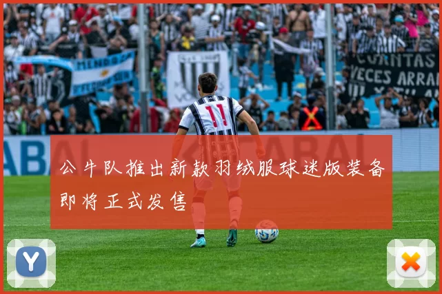 公牛队推出新款羽绒服球迷版装备即将正式发售
