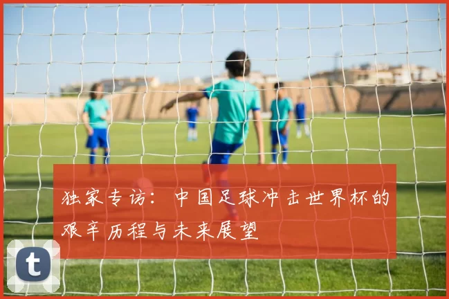 独家专访：中国足球冲击世界杯的艰辛历程与未来展望
