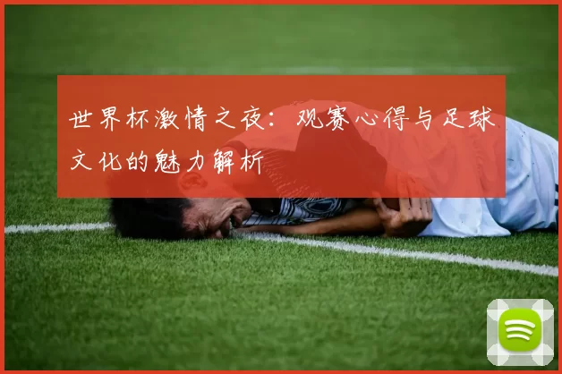 世界杯激情之夜:观赛心得与足球文化的魅力解析