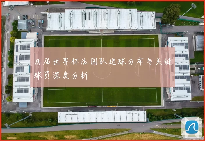 历届世界杯法国队进球分布与关键球员深度分析