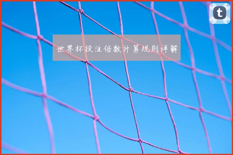 世界杯投注倍数计算规则详解