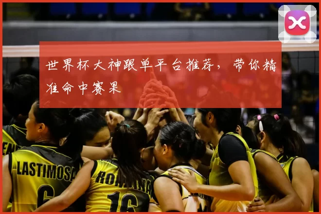 世界杯大神跟单平台推荐,带你精准命中赛果