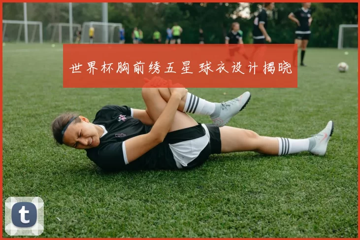 世界杯胸前绣五星 球衣设计揭晓