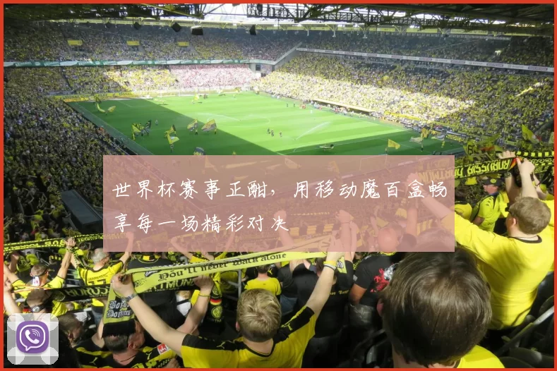 世界杯赛事正酣,用移动魔百盒畅享每一场精彩对决