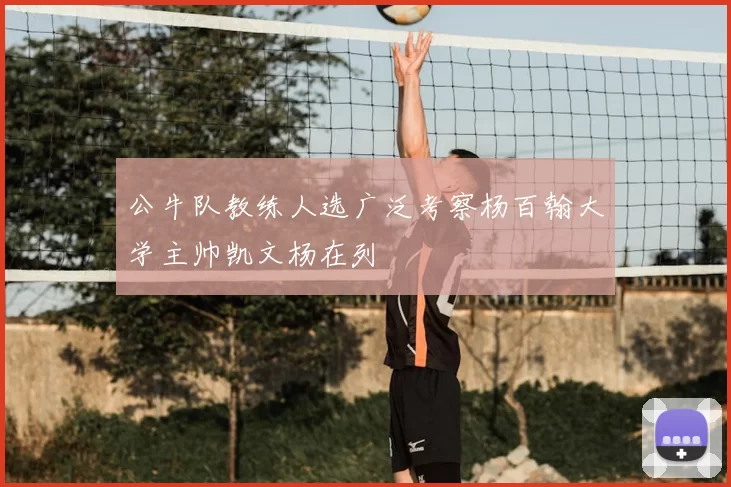 公牛队教练人选广泛考察杨百翰大学主帅凯文杨在列