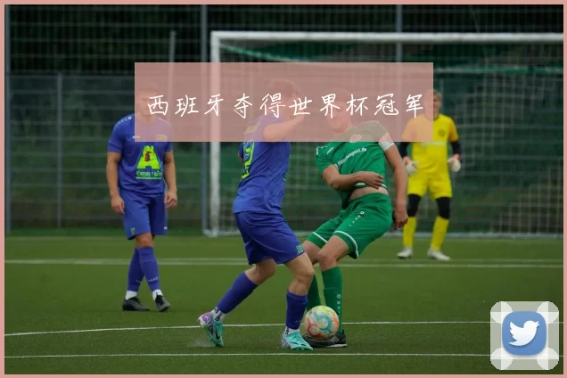 西班牙夺得世界杯冠军