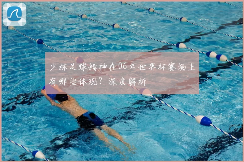 少林足球精神在06年世界杯赛场上有哪些体现?深度解析