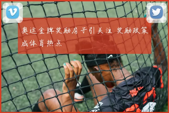 奥运金牌奖励房子引关注 奖励政策成体育热点