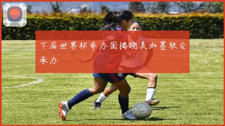 下届世界杯举办国揭晓美加墨联合承办