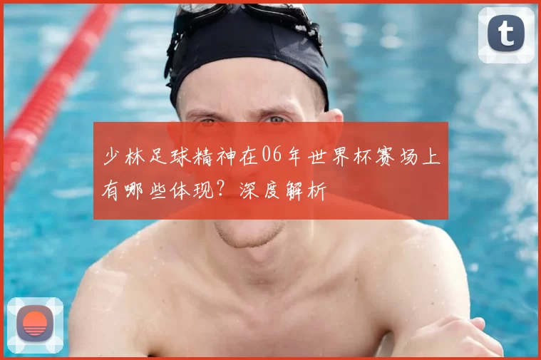 少林足球精神在06年世界杯赛场上有哪些体现？深度解析
