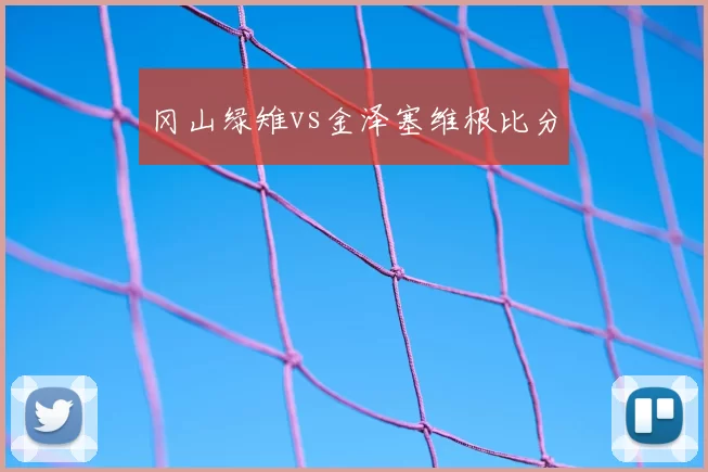 冈山绿雉vs金泽塞维根比分
