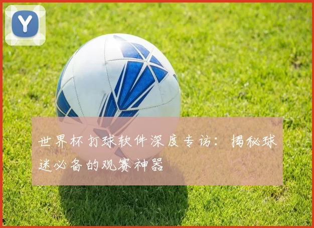 世界杯打球软件深度专访:揭秘球迷必备的观赛神器
