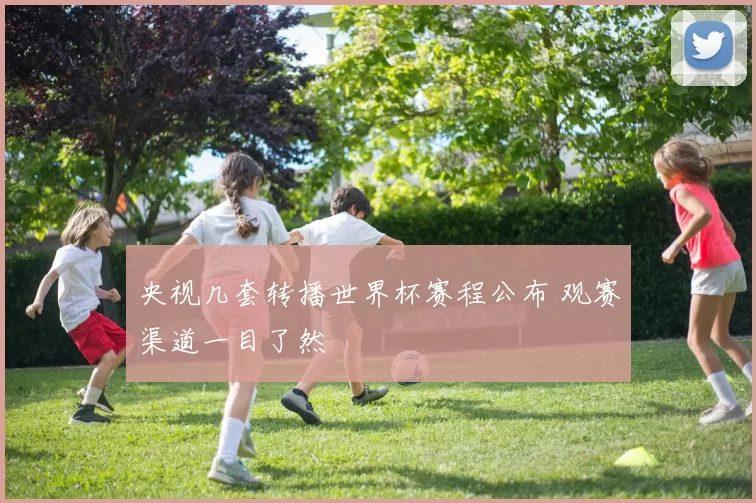 央视几套转播世界杯赛程公布 观赛渠道一目了然