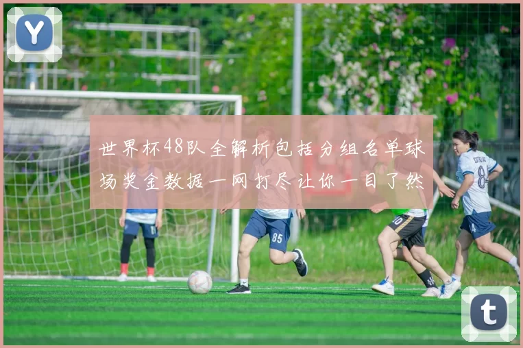 世界杯48队全解析包括分组名单球场奖金数据一网打尽让你一目了然