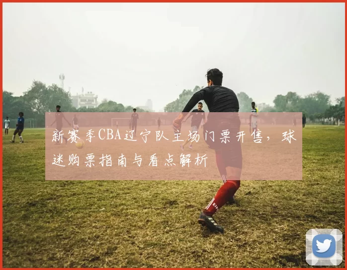 新赛季CBA辽宁队主场门票开售，球迷购票指南与看点解析