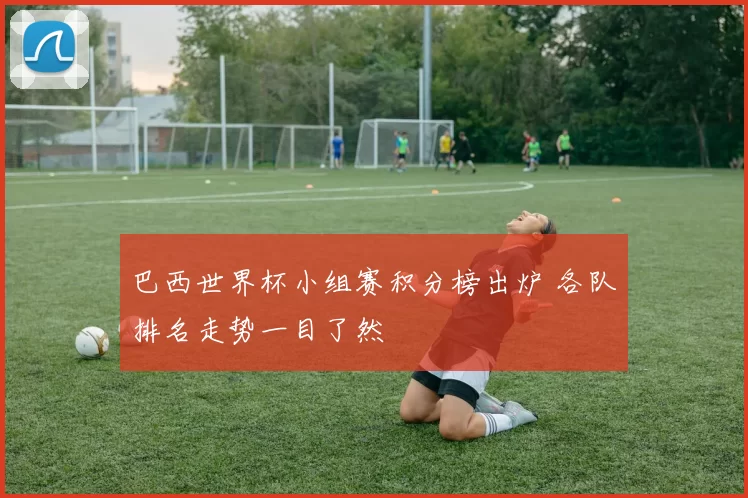 巴西世界杯小组赛积分榜出炉 各队排名走势一目了然