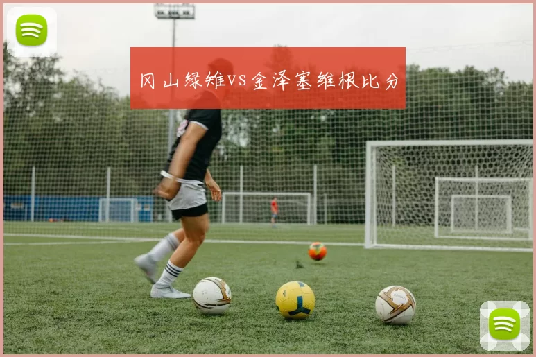 冈山绿雉vs金泽塞维根比分